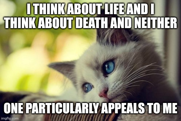 Morrissey the Smiths cat sings |  I THINK ABOUT LIFE AND I THINK ABOUT DEATH AND NEITHER; ONE PARTICULARLY APPEALS TO ME | image tagged in memes,first world problems cat,morrissey,the smiths,poet,goth | made w/ Imgflip meme maker