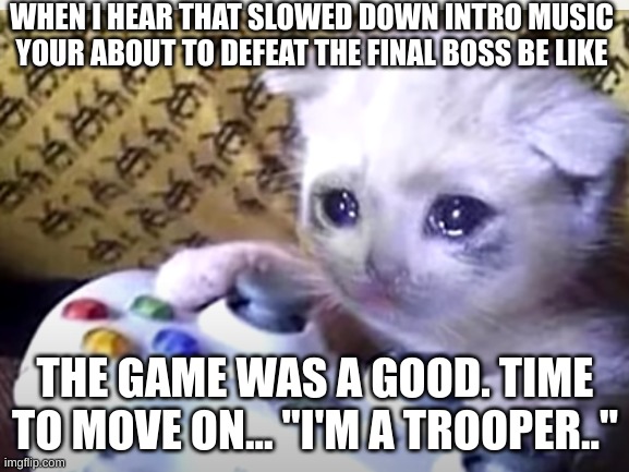 Last Boss | WHEN I HEAR THAT SLOWED DOWN INTRO MUSIC YOUR ABOUT TO DEFEAT THE FINAL BOSS BE LIKE; THE GAME WAS A GOOD. TIME TO MOVE ON... "I'M A TROOPER.." | image tagged in sad | made w/ Imgflip meme maker