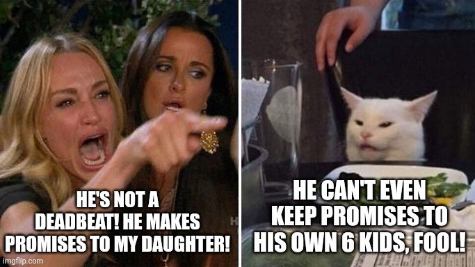 Deadbeat dads new girlfriend | HE'S NOT A DEADBEAT! HE MAKES PROMISES TO MY DAUGHTER! HE CAN'T EVEN KEEP PROMISES TO HIS OWN 6 KIDS, FOOL! | image tagged in angry lady cat | made w/ Imgflip meme maker
