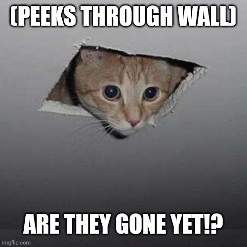 Ceiling Cat | (PEEKS THROUGH WALL); ARE THEY GONE YET!? | image tagged in memes,ceiling cat | made w/ Imgflip meme maker