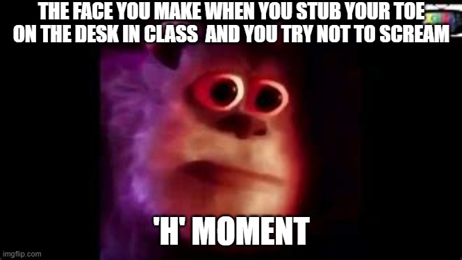 The face u make when... | THE FACE YOU MAKE WHEN YOU STUB YOUR TOE ON THE DESK IN CLASS  AND YOU TRY NOT TO SCREAM; 'H' MOMENT | image tagged in sully wazowski | made w/ Imgflip meme maker
