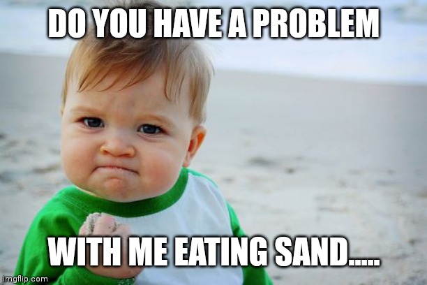 DO YOU GOT A PROBLEM | DO YOU HAVE A PROBLEM; WITH ME EATING SAND..... | image tagged in memes,success kid original | made w/ Imgflip meme maker