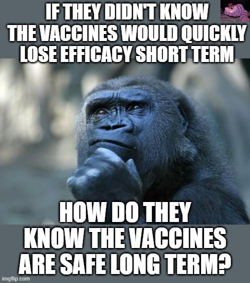 The science is proving to be weak and insufficient |  IF THEY DIDN'T KNOW THE VACCINES WOULD QUICKLY LOSE EFFICACY SHORT TERM; HOW DO THEY KNOW THE VACCINES ARE SAFE LONG TERM? | image tagged in deep thoughts | made w/ Imgflip meme maker