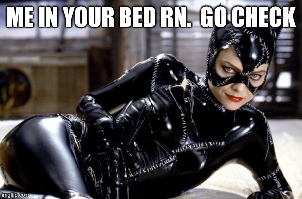 And hurry up | ME IN YOUR BED RN.  GO CHECK | image tagged in catwoman | made w/ Imgflip meme maker