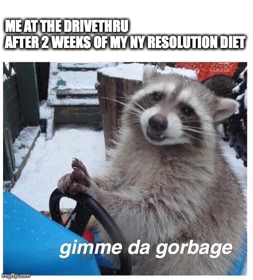 new year's resolution raccoon | ME AT THE DRIVETHRU
AFTER 2 WEEKS OF MY NY RESOLUTION DIET | image tagged in raccoon,new year | made w/ Imgflip meme maker