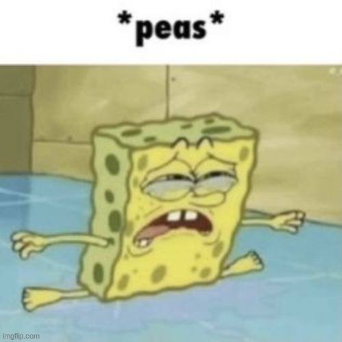 im rlly laughing the loudest rn omg- | made w/ Imgflip meme maker