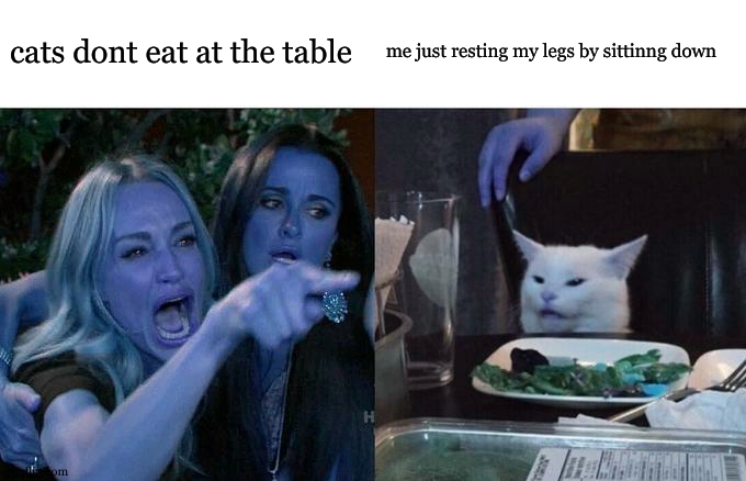 Woman Yelling At Cat | cats dont eat at the table; me just resting my legs by sittinng down | image tagged in memes,woman yelling at cat | made w/ Imgflip meme maker