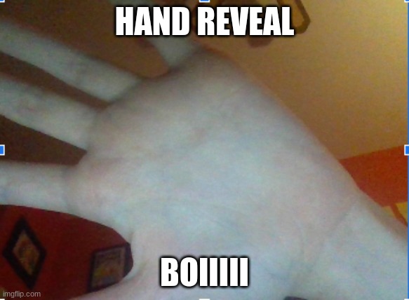 HAND REVEAL; BOIIIII | made w/ Imgflip meme maker