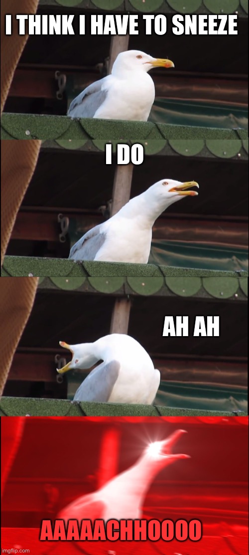 Inhaling Seagull Meme | I THINK I HAVE TO SNEEZE; I DO; AH AH; AAAAACHHOOOO | image tagged in memes,inhaling seagull | made w/ Imgflip meme maker