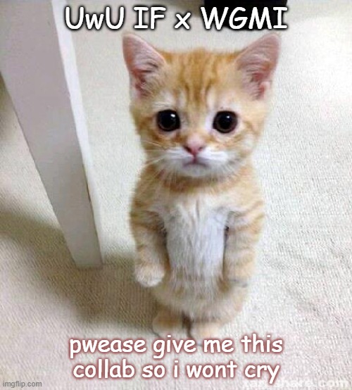 Cute Cat | UwU IF x WGMI; pwease give me this collab so i wont cry | image tagged in memes,cute cat | made w/ Imgflip meme maker