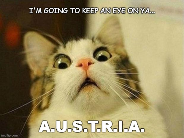 So feline |  I'M GOING TO KEEP AN EYE ON YA... A.U.S.T.R.I.A. | image tagged in memes,scared cat,surreal | made w/ Imgflip meme maker