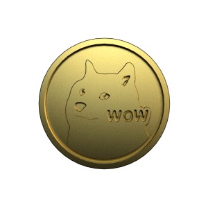 High Quality doge coin spin Blank Meme Template