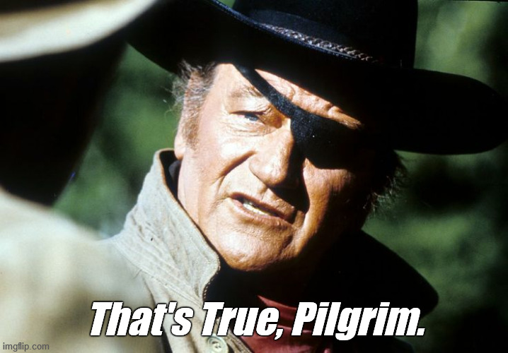 Rooster Speaking | That's True, Pilgrim. | image tagged in rooster speaking | made w/ Imgflip meme maker