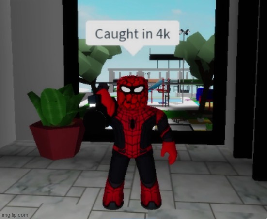 Spiderman caught you in 4k | image tagged in spiderman caught you in 4k | made w/ Imgflip meme maker
