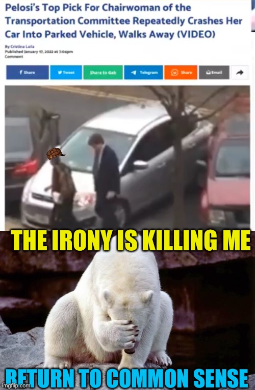 When the whole world needs to return to csp, look at that parking job | THE IRONY IS KILLING ME; RETURN TO COMMON SENSE | image tagged in should be chairman of a walker or old folks home | made w/ Imgflip meme maker