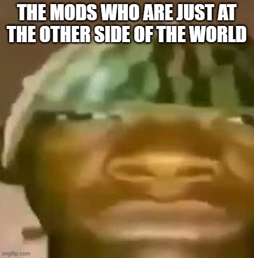 shitpost | THE MODS WHO ARE JUST AT THE OTHER SIDE OF THE WORLD | image tagged in shitpost | made w/ Imgflip meme maker