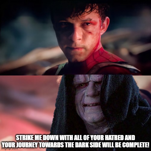 STRIKE ME DOWN WITH ALL OF YOUR HATRED AND YOUR JOURNEY TOWARDS THE DARK SIDE WILL BE COMPLETE! | image tagged in memes,spiderman,no way home,emperor palpatine,green goblin,funny memes | made w/ Imgflip meme maker