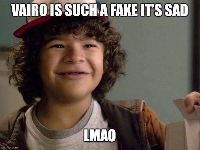 Dustin lmao | VAIRO IS SUCH A FAKE IT’S SAD; LMAO | image tagged in dustin lmao | made w/ Imgflip meme maker