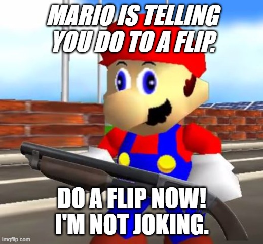 SMG4 Shotgun Mario | MARIO IS TELLING YOU DO TO A FLIP. DO A FLIP NOW! I'M NOT JOKING. | image tagged in smg4 shotgun mario | made w/ Imgflip meme maker