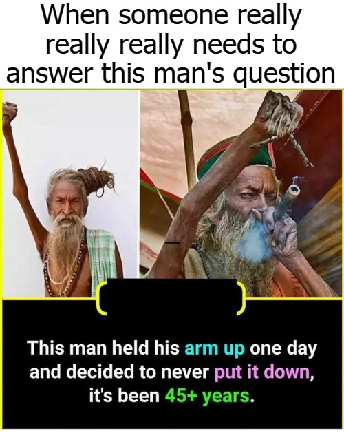 When someone really really really needs to answer this man's question | image tagged in tog | made w/ Imgflip meme maker