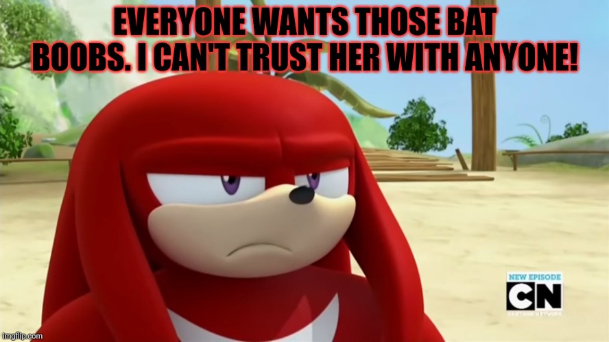 Knuckles is not Impressed - Sonic Boom | EVERYONE WANTS THOSE BAT BOOBS. I CAN'T TRUST HER WITH ANYONE! | image tagged in knuckles is not impressed - sonic boom | made w/ Imgflip meme maker