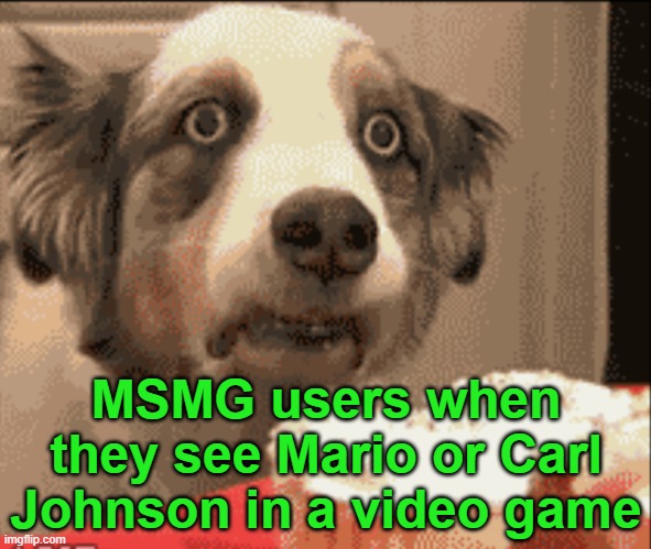 PTSD dog | MSMG users when they see Mario or Carl Johnson in a video game | image tagged in ptsd dog | made w/ Imgflip meme maker