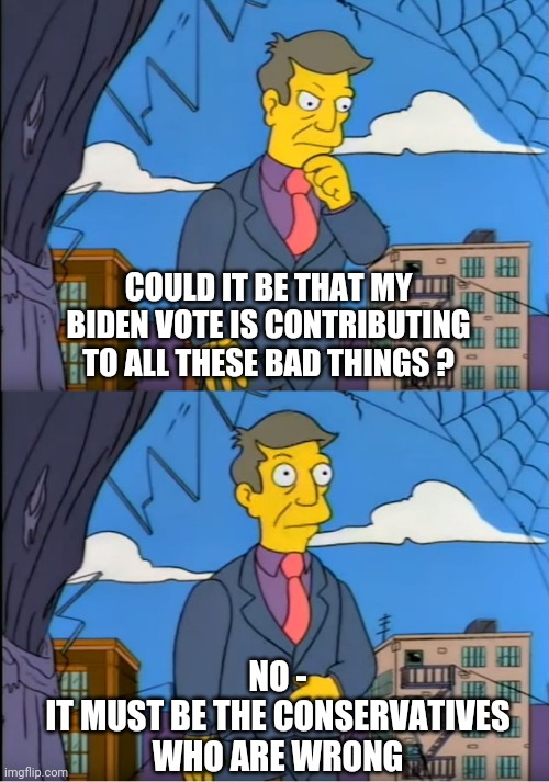 Irrational Logic | COULD IT BE THAT MY BIDEN VOTE IS CONTRIBUTING TO ALL THESE BAD THINGS ? NO -
IT MUST BE THE CONSERVATIVES WHO ARE WRONG | image tagged in skinner out of touch,liberals,democrats,joe biden,economy,vote 2020 | made w/ Imgflip meme maker