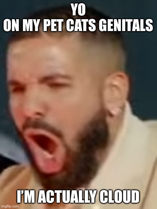 Drake pog | YO
ON MY PET CATS GENITALS; I’M ACTUALLY CLOUD | image tagged in drake pog | made w/ Imgflip meme maker