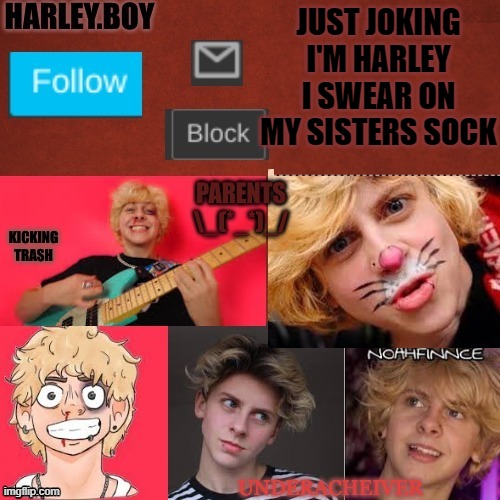 harley 3.0 | JUST JOKING I'M HARLEY I SWEAR ON MY SISTERS SOCK | image tagged in harley 3 0 | made w/ Imgflip meme maker