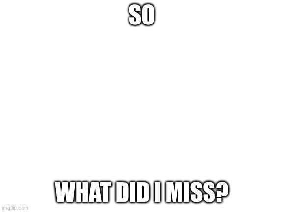 Blank White Template | SO; WHAT DID I MISS? | image tagged in blank white template | made w/ Imgflip meme maker