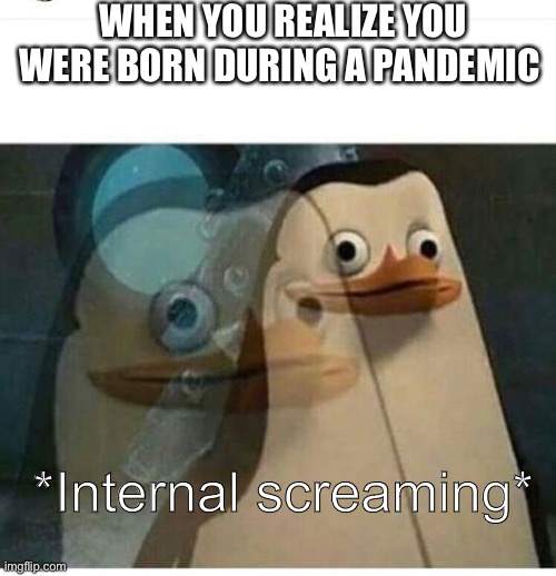 Oh no |  WHEN YOU REALIZE YOU WERE BORN DURING A PANDEMIC; *Internal screaming* | image tagged in madagascar meme | made w/ Imgflip meme maker
