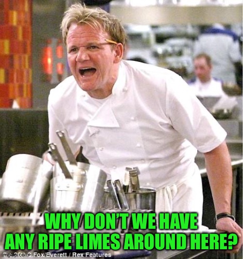 Chef Gordon Ramsay Meme | WHY DON’T WE HAVE ANY RIPE LIMES AROUND HERE? | image tagged in memes,chef gordon ramsay | made w/ Imgflip meme maker