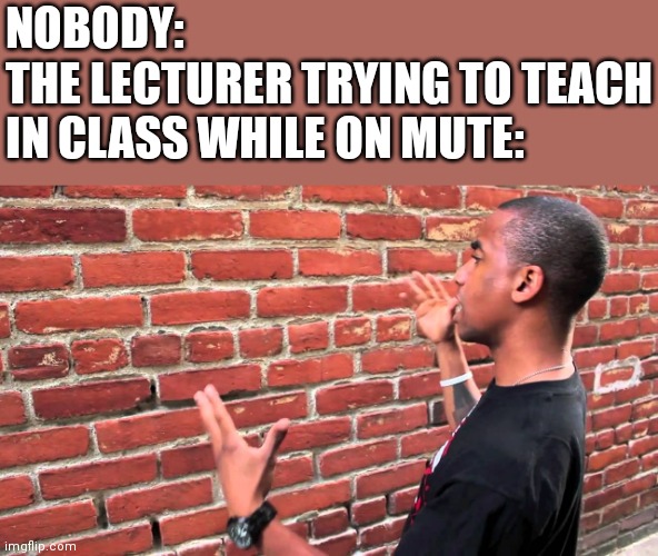 Muted | NOBODY:
THE LECTURER TRYING TO TEACH IN CLASS WHILE ON MUTE: | image tagged in guy explaining to brick wall | made w/ Imgflip meme maker