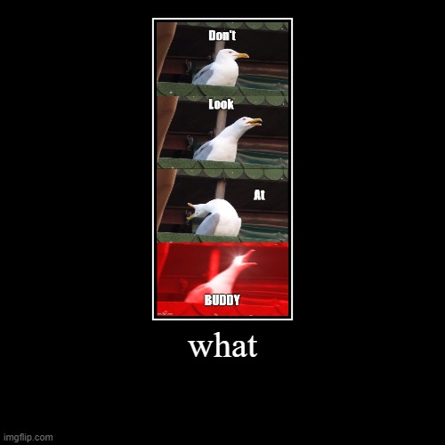 Wait WHAT | image tagged in funny | made w/ Imgflip demotivational maker