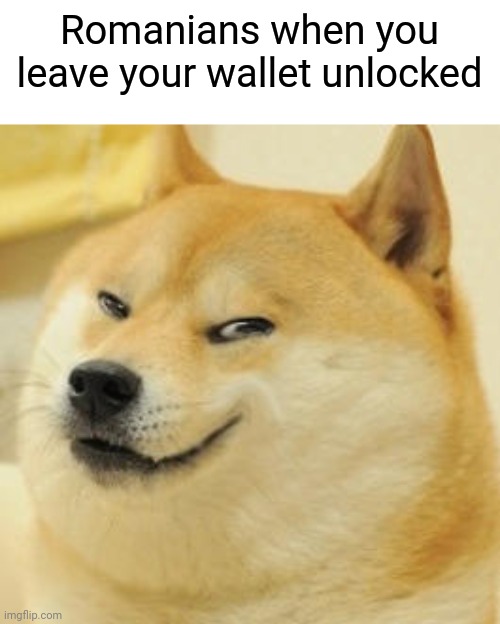 Romania |  Romanians when you leave your wallet unlocked | image tagged in evil doge,memes,gifs,funny,demotivationals | made w/ Imgflip meme maker