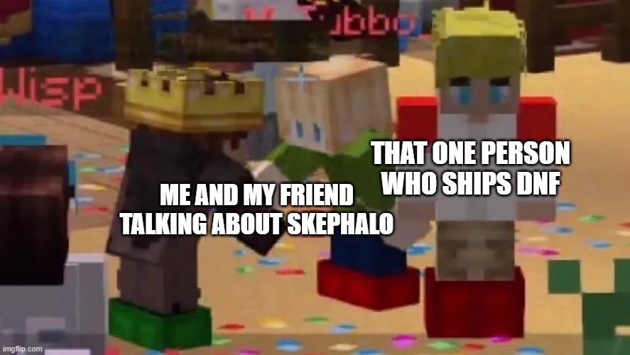skephalo or dnf? | THAT ONE PERSON WHO SHIPS DNF; ME AND MY FRIEND TALKING ABOUT SKEPHALO | image tagged in mcyt friendship | made w/ Imgflip meme maker