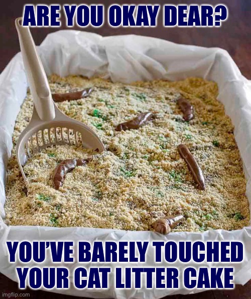 ARE YOU OKAY DEAR? YOU’VE BARELY TOUCHED YOUR CAT LITTER CAKE | made w/ Imgflip meme maker