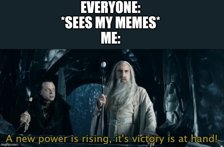 Me and my memes. | EVERYONE: *SEES MY MEMES*
ME: | image tagged in saruman | made w/ Imgflip meme maker