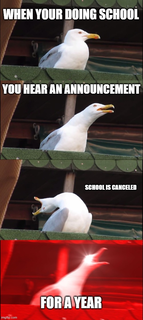 Inhaling Seagull Meme | WHEN YOUR DOING SCHOOL; YOU HEAR AN ANNOUNCEMENT; SCHOOL IS CANCELED; FOR A YEAR | image tagged in memes,inhaling seagull,funny,funny memes | made w/ Imgflip meme maker