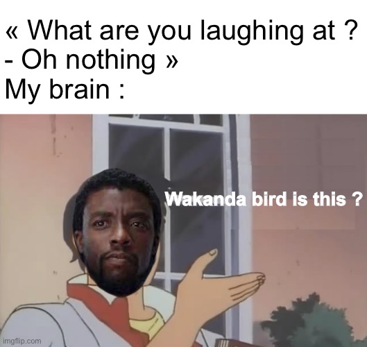 Wakanda forever | « What are you laughing at ?
- Oh nothing »
My brain :; Wakanda bird is this ? | image tagged in blank white template,what kind of bird is this,black panther,marvel,teacher what are you laughing at | made w/ Imgflip meme maker