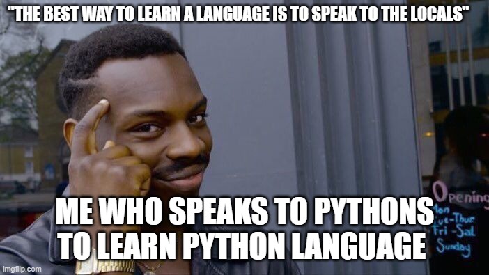 smort | "THE BEST WAY TO LEARN A LANGUAGE IS TO SPEAK TO THE LOCALS"; ME WHO SPEAKS TO PYTHONS TO LEARN PYTHON LANGUAGE | image tagged in memes,roll safe think about it | made w/ Imgflip meme maker