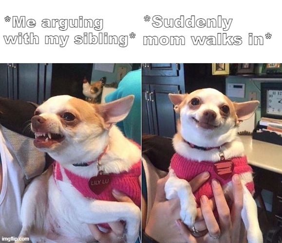 Happens? | *Me arguing with my sibling*; *Suddenly mom walks in* | image tagged in angry dog meme | made w/ Imgflip meme maker