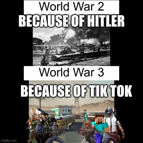 Yes, this is how WW3 will be created | BECAUSE OF HITLER; BECAUSE OF TIK TOK | image tagged in memes,ww2,ww3,tik tok | made w/ Imgflip meme maker