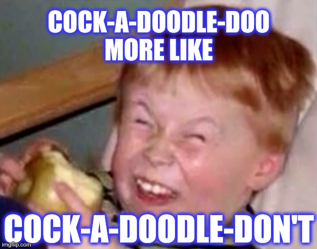 Sarcastic laughing kid | COCK-A-DOODLE-DOO
MORE LIKE COCK-A-DOODLE-DON'T | image tagged in sarcastic laughing kid | made w/ Imgflip meme maker