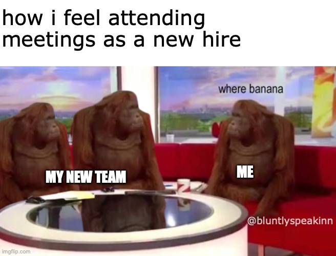 lel | how i feel attending meetings as a new hire; ME; MY NEW TEAM; @bluntlyspeakinn | image tagged in where banana | made w/ Imgflip meme maker