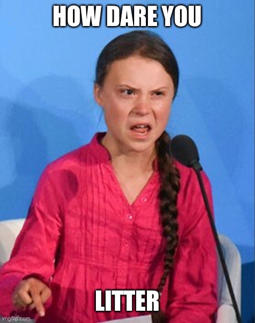 Greta Thunberg how dare you | HOW DARE YOU LITTER | image tagged in greta thunberg how dare you | made w/ Imgflip meme maker