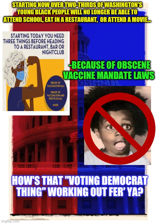 DC's Jim Crovid laws-  keeps out the "undesirables" |  STARTING NOW OVER TWO-THIRDS OF WASHINGTON'S YOUNG BLACK PEOPLE WILL NO LONGER BE ABLE TO ATTEND SCHOOL, EAT IN A RESTAURANT,  OR ATTEND A MOVIE... -BECAUSE OF OBSCENE VACCINE MANDATE LAWS; HOW'S THAT "VOTING DEMOCRAT THING" WORKING OUT FER' YA? | image tagged in racist,washington dc,stupid liberals,democrat,bum | made w/ Imgflip meme maker