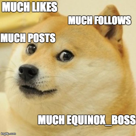 Doge Meme | MUCH LIKES MUCH FOLLOWS MUCH EQUINOX_BOSS MUCH POSTS | image tagged in memes,doge | made w/ Imgflip meme maker