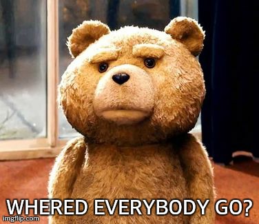 TED Meme | WHERED EVERYBODY GO? | image tagged in memes,ted | made w/ Imgflip meme maker