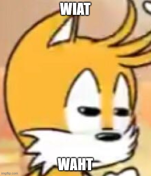 Tails what | WIAT WAHT | image tagged in tails what | made w/ Imgflip meme maker